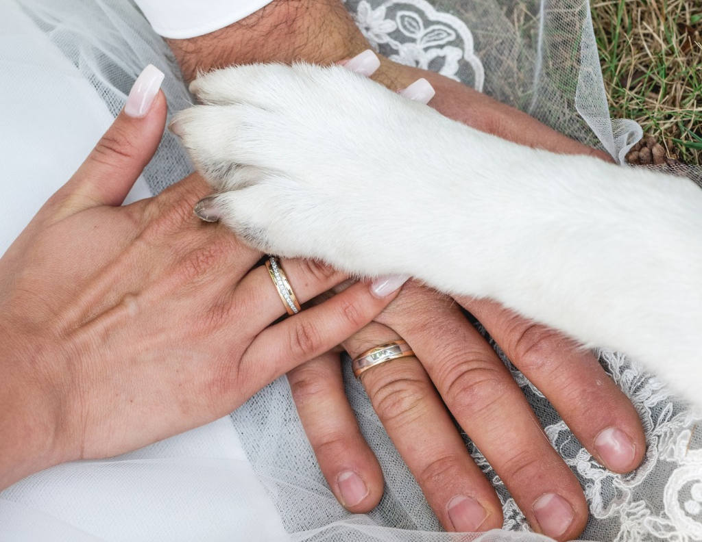 Bride, groom & dog putting hands together